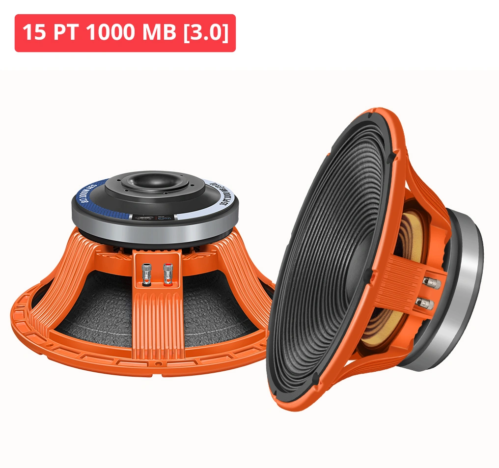 15 PT 1000 MB [3.0]